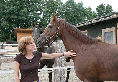 cm aiakos IMG 4583 600x400.jpg