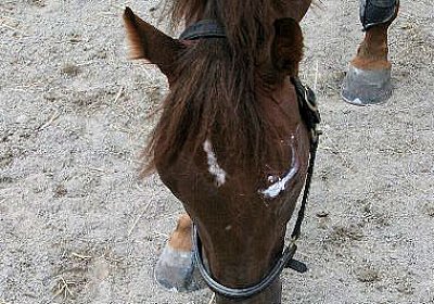 cm aiakos IMG 4586 600x400.jpg