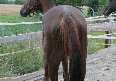 cm aiakos IMG 4593 600x400.jpg