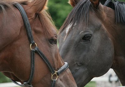 cm aiakos IMG 4596 600x400.jpg