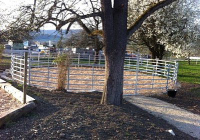 Longier-Platz