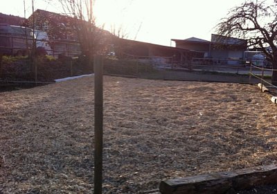 Nochmal der Schnitzelplatz