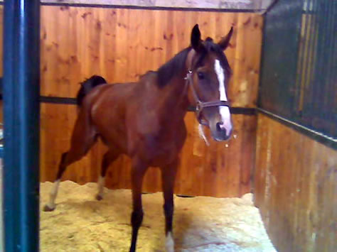 La Parit&eacute; in Fontainebleau