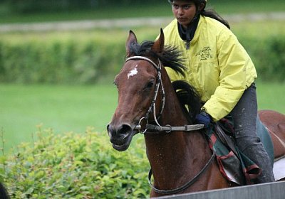 IMG 7193 600x400.jpg