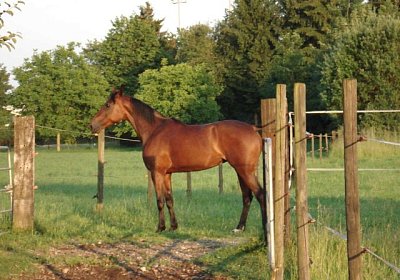 Melbourne1 059a 640x480.jpg