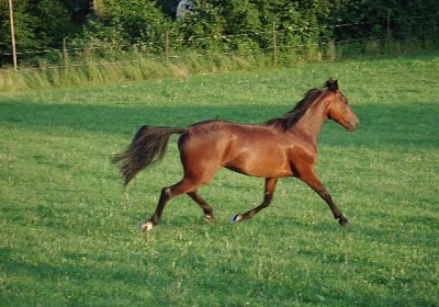 Melbourne1 061a 640x480.jpg