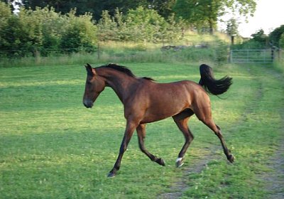 Melbourne1 067a 640x480.jpg