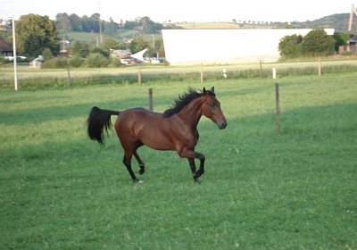 Melbourne1 082a 640x480.jpg