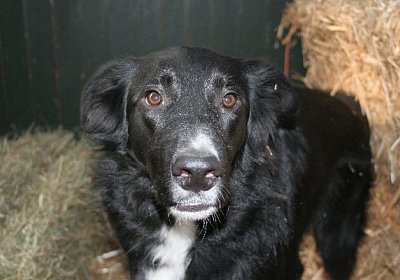 IMG 0749 jimmy600x400.jpg