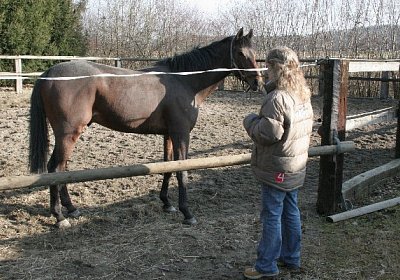 IMG 0812 Rayyan 600x400.jpg