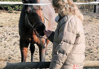 IMG 0839 Rayyan 600x400.jpg