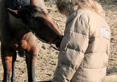 IMG 0840 Rayyan 600x400.jpg