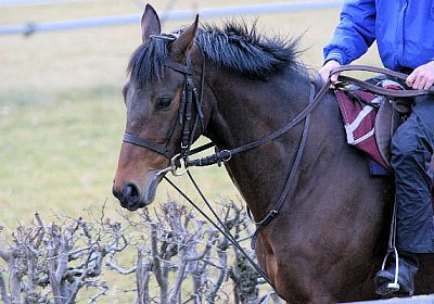 IMG 6005 Rayyan 600x400.jpg