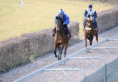 IMG 6065 Rayyan 600x400.jpg