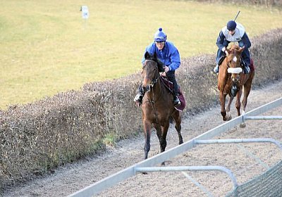 IMG 6066 Rayyan 600x400.jpg