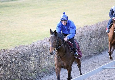 IMG 6069 Rayyan 600x400.jpg