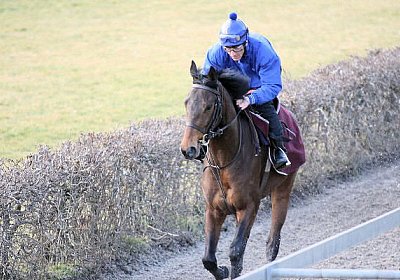 IMG 6070 Rayyan 600x400.jpg