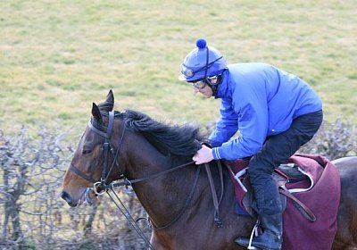 IMG 6078 Rayyan 600x400.jpg