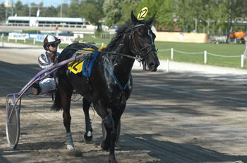 Gone mit Evelyne Fankhauser