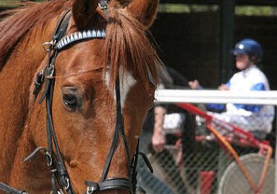 cm loxley1 IMG 2002 600x400.jp...