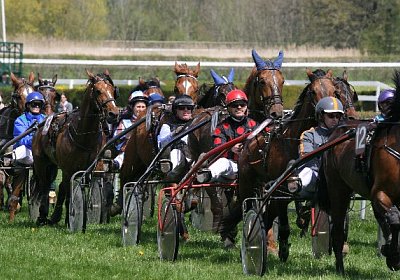 cm loxley2 IMG 9662 600x400.jp...