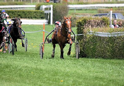 cm loxley2 IMG 9668 600x400.jp...