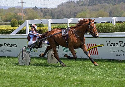 cm loxley2 IMG 9676 600x400.jp...