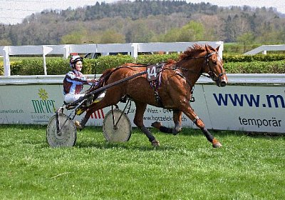 cm loxley2 IMG 9677 600x400.jp...