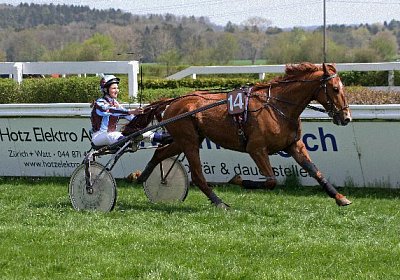 cm loxley2 IMG 9678 600x400.jp...