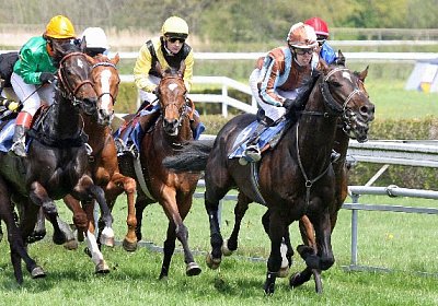 cm royalRennen img 9689a 600x4...