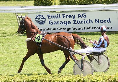 cm r3 jully IMG 0974r3 600x400...