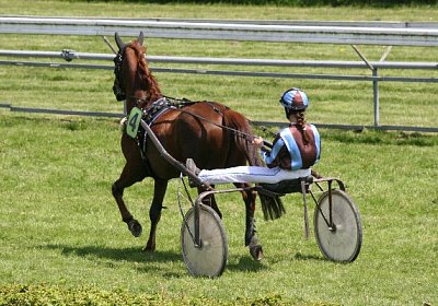 cm r3 jully IMG 0975 600x400.j...