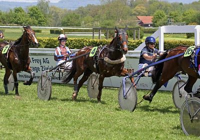 cm r3 jully IMG 0991 600x400.j...