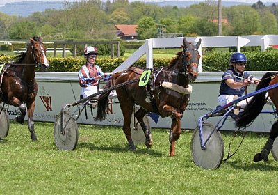 cm r3 jully IMG 0992 600x400.j...