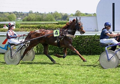 cm r3 jully IMG 0994 600x400.j...