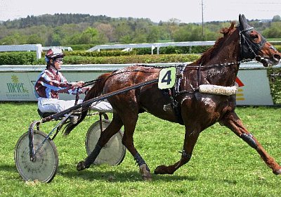 cm r3 jully IMG 1011 600x400.j...