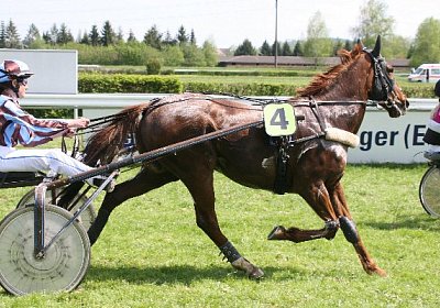 cm r3 jully IMG 1012r3 600x400...