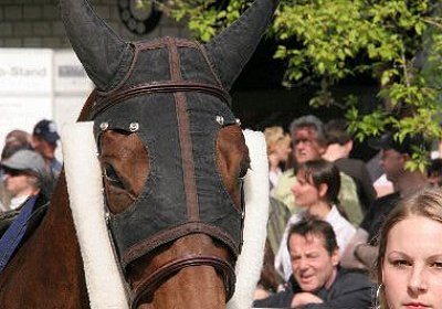 cm rayyan vor IMG 2676 600x400...