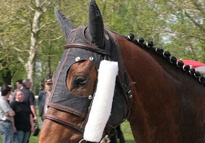 cm rayyan vor IMG 2684 600x400...