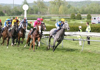 cm rayyan zr IMG 1243 600x400....