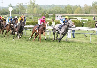 cm rayyan zr IMG 1245 600x400....