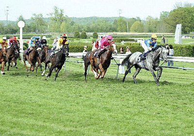 cm rayyan zr IMG 1246 600x400....