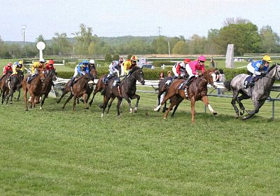 cm rayyan zr IMG 1247 600x400....