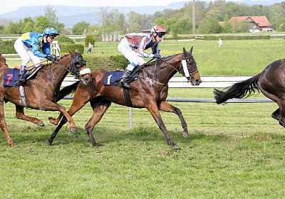 cm rayyan zr IMG 1250 600x400....