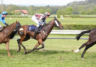 cm rayyan zr IMG 1251 600x400....