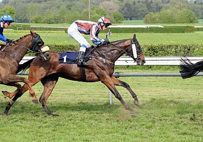 cm rayyan zr IMG 1252 600x400....