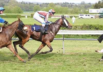 cm rayyan zr IMG 1253 600x400....