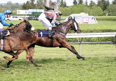 cm rayyan zr IMG 1254 600x400....