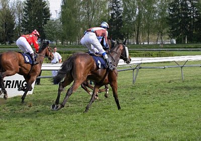 cm rayyan zr IMG 1267r8 600x40...