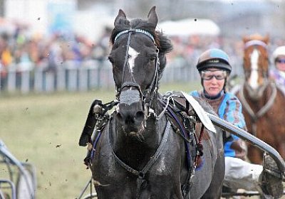 gIMG 7221d 400x266.jpg